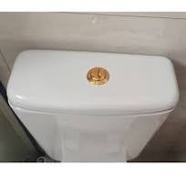 WUYUZHU Botón de Descarga de Inodoro de Doble Presión, Botón Dorado para  Tanque de Inodoro, Botón Pulsador de Inodoro de Forma Redonda, Accesorios  de ...