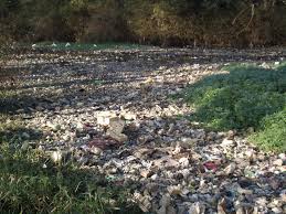 Poluarea aerului afecteaza sanatatea tuturor. Poluarea Mediului Text Images Music Video Glogster Edu Interactive Multimedia Posters