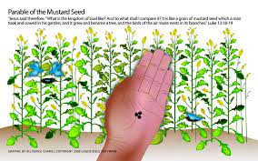 Pin By Cindy Ramm Doucette On Parables Seed Craft Mustard Seed Parable Bible For Kids