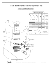 Traditionally, the jaguar has two circuits — lead and rhythm. Fender Dave Murray Stratocaster Support And Manuals