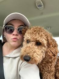 Roommate wanted in San Diego