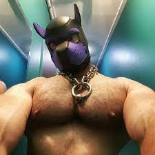 Puppy Play Archives - The Happy Pup