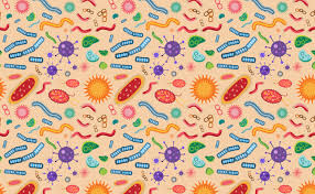 Probiotics & IBD | Crohn's disease | Ulcerative colitis