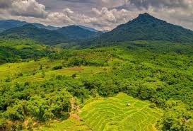 Indonesia has always been an incredible place to travel. Indonesia Environment Fund Bridging The Financing Gap In Environmental Programs Cpi