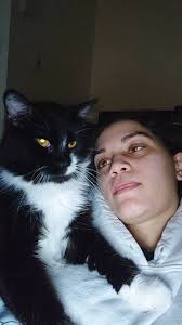 Found cat in Carbondale Hobby Lobby parking lot