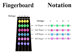 A Beginners Guide To First Position Finger Placement And