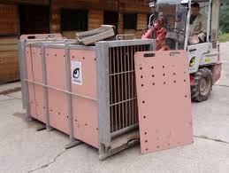 #3,497 in pet supplies (see top airlines must be able to access dishes attached to door without opening the kennel door they do this through funnels. Crate For Bears And Big Cats Such As The Cheetah That Meets Container Download Scientific Diagram