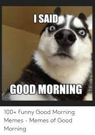 25 Best Memes About Good Morning Dog Meme Good Morning Dog Memes
