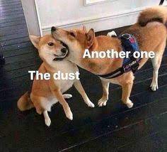 Another One Bites The Dust