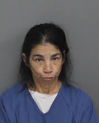 Arrest Report for January 7