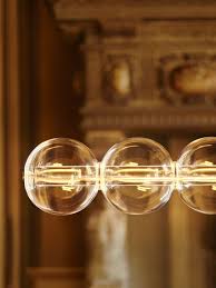 Image result for Floscopa sp.no.1