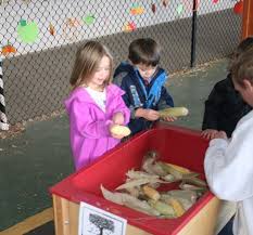 Beyond shucking corn, maybe you can make candy corn decorations with construction paper and candy corn. Skyview Academy Preschool Hosts First Annual Fall Harvest Festival With A Focus On Learning And Community Service Yourhub
