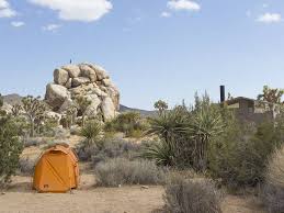 The lake and water falls are nice too. Joshua Tree Camping Guide For Desert Adventurers