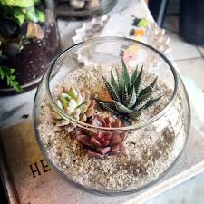 Pin On Greenhouses Terrariums