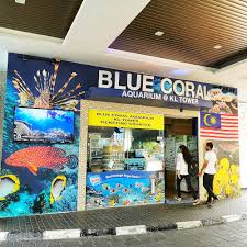 2020 top things to do in kuala lumpur. Kl Tower Top Attraction In Kuala Lumpir Must Visit