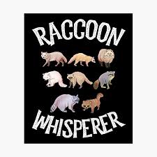 A collection of the top 36 trash gang wallpapers and backgrounds available for download for free. Trash Gang Wall Art Redbubble