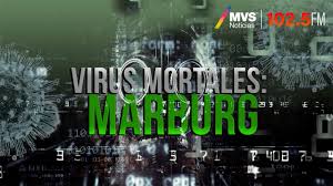 Se caracterizan por poseer como genoma arn lineal monocatenario de sentido negativo, y por infectar a primates. Virus Mortales Marburg Youtube