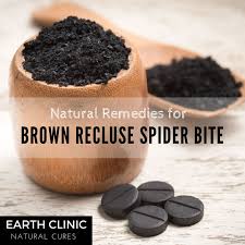 Very few spiders are not venomous. Natural Remedies For A Brown Recluse Spider Bite