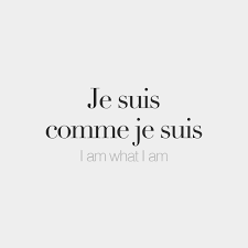 100 Learn French Ideas In 2022 Learn French How To Speak French French Phrases