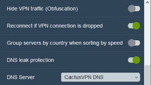 Get more privacy with obfuscation. How To Set Up Cactusvpn App For Windows Cactusvpn