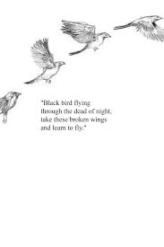 Black Bird In The Dead Of Night Blackbird Flying Through The Dead Of Night The Beatles Beautiful Words Words Of Wisdom My Poetry