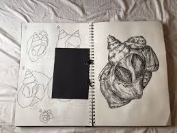 Pin On Gcse Sketchbook Natural Forms
