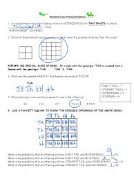 Genetics practice problem worksheet on the dihybrid two factor cross suitable for biology or life science students in grades 8 12 this … Dihybrid Cross Practice Problems Answer Key Dominance Genetics Zygosity