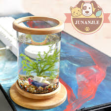 About 6% of these are aquariums, 1% are aquariums equipments, and 0% are decorations & ornaments. 1pcs Glass Betta Fish Tank Mini Fish Tank Decoration Accessories Rotate Bamboo Base Decoration Fish Bowl Aquarium Accessories Aquariums Tanks Aliexpress