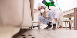 Call us at (852) 2954 6888 for appointment of residential pest control service and household pest control solution. Best Pest Control Services 2020 Fumigation Termite Control Experts In Hong Kong Toby