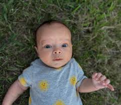 Has anyone seen skim milk at grocery stores?