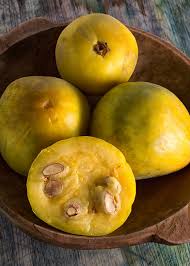 Image result for Aristida stipitata