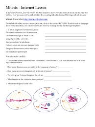 Mitosis practice answer key from phases of meiosis worksheet, source:biologycorner.com. Mitosis Assignment Mitosis Genetics