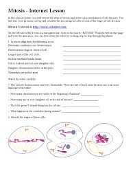 Some of the worksheets displayed are mitosisworklayerspartsflat2 mitosisworkphasesflat7 meiosis and mitosis answers work plant and animal cells comparing plant and animal cells cell cycle and mitosis webquest plant and animal cells cell ebrate science without work. Mitosis Assignment Mitosis Genetics