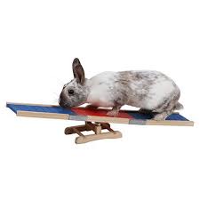 Rampe Pour Lapin Agility Jouet Pour Lapin Wanimo Jouet Pour Lapin Jeu Pour Lapin Animales