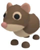 Check out all working roblox adopt me codes 2021 not expired for 2021. Shrew Adopt Me Wiki Fandom In 2021 Your Pet Adoption Elf Hat
