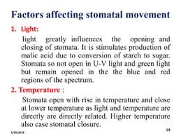 Stomatal Movement - An Overview | Sciencedirect Topics