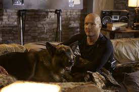 смотреть сериал пес 4 сезон все серии в хорошем качестве Pes 6 Sezon Data Vyhoda Serij Trejler Interesnye Fakty