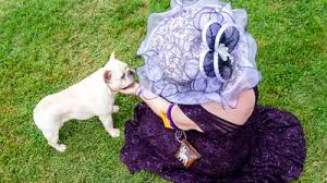 Due to ny state covid regulations impacting the allowable number of attendees at events, westminster's 2021 events will, unfortunately. M S0d3v0 Uckm