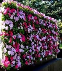 Wall Gardens Small Garden Ideas Vertical Garden Garden Wall Beautiful Gardens
