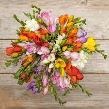 Pin By Pamela Kelso Photography On Florals Freesia Flowers Flower Delivery Rustic Flower Arrangements