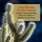 Anza-Borrego Plant Walk event in Borrego Springs, CA