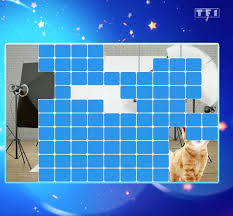 12 Coups De Midi Du 21 Mars 2021 Un Chaton Comme Nouvel Indice De L Etoile Mysterieuse Nouveau Coup De Maitre Pour Fifou Dingo Alias Bruno Stars Actu