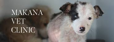 At the clinic our state licensed veterinarians and professional staff will ask you a few questions about your pet's lifestyle. Makana Vet Clinic Home Facebook