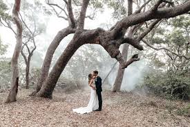 Get travel tips and inspiration with insider guides, fascinating stories, video experiences and stunning photos. Matt Jac S Palm Beach Wedding Lonely Hunter Weddings