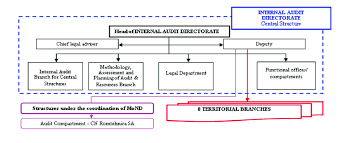The Organizational Structure Of The Internal Audit