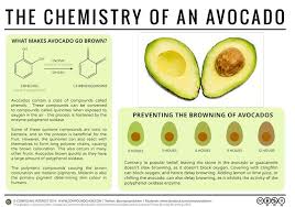 10 Health Benefits Of Avocados Food Chemistry Chemistry Food Science