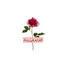 morning evening remembrance in 2021 arabic quotes quran quotes inspirational quotes for book lovers
