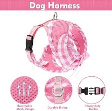 Amazon.com : EXPAWLORER Soft Mesh Dog Harness and Leash Set