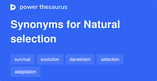 Explorelearning free anonymous url redirection service. 2r5t0w2simcpmm