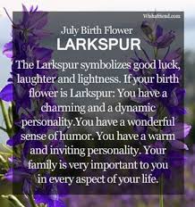 The Flower For July July Birth Flower Birth Flowers Birth Month Flowers
